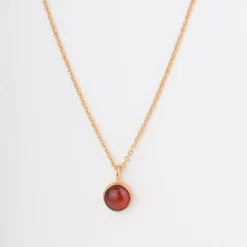 B2B Ketting terra nova