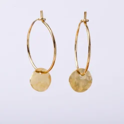 B2B Oorbellen bubbles hoop small