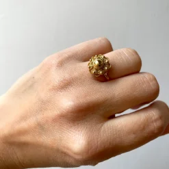 B2B Ring zeeuws