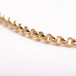 Ketting 14k jasseron
