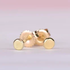 Oorbellen 14k coin