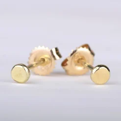 Oorbellen 14k coin