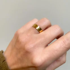 Ring Robin of Loxley