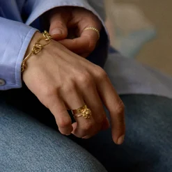 Ring zeeuws