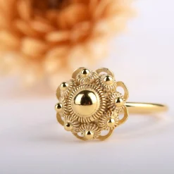 Ring zeeuws